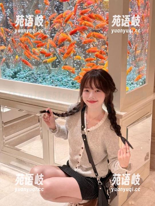 探索51cg吃瓜黑料，安卓用户的独特娱乐体验你知道吗？
