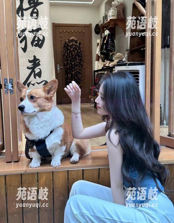 51吃瓜网址苹果版安装步骤分享，妹子轻松吃瓜无压力！