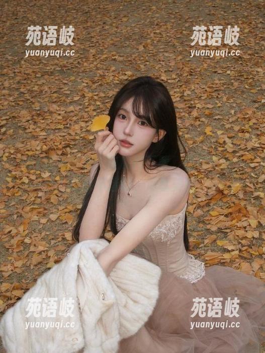 51吃瓜网 51吃瓜网下载,让你在吃瓜时永不迷路,尽享美味