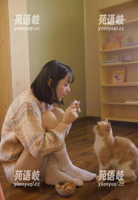 51吃瓜网站 51吃瓜网站github:永不迷路,探索最热吃瓜地址的攻略