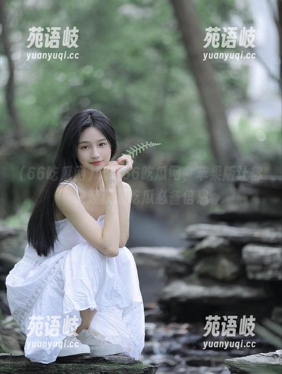 玩转66吃瓜网，苹果版让你快速获取吃瓜必备信息