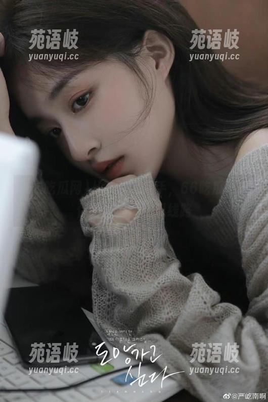 从新手到高手，66吃瓜网帮你找到最优吃瓜线路