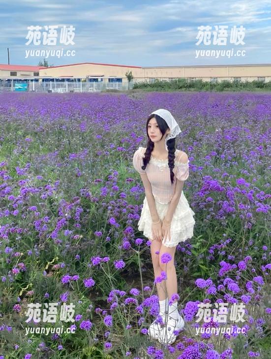 免费体验www.吃瓜ios应用，实时获取吃瓜资讯