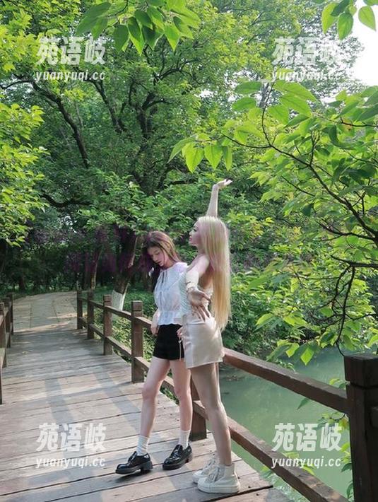 www.黑料 www.黑料分享揭秘:这个网站如何成为吃瓜群众的聚集地