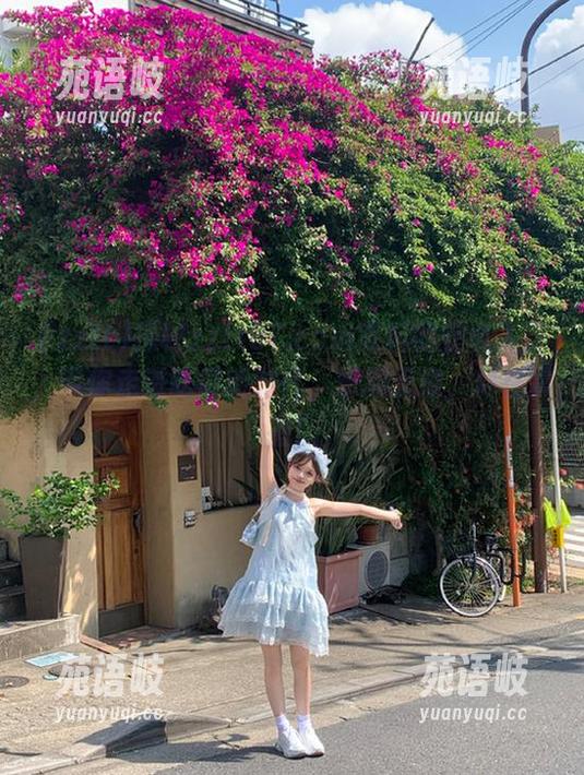 探秘zztt87.ccm黑料的安卓入口，带你走进吃瓜新时代，乐趣无穷，尽在掌握！