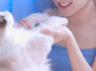 何必花钱买瓜，免费吃瓜网站的导航也能让你吃得心累！