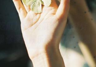 吾爱吃瓜黑料不打烊，永久线路带你深扒娱乐圈的秘密和黑料！