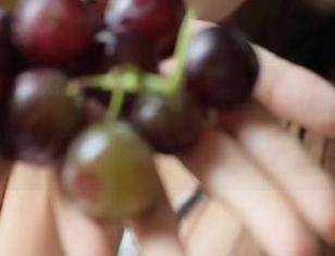 黑料君分享：获取最热资源，曝光娱乐圈内幕的最佳平台！