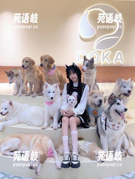 黑料社网站带你直达最新吃瓜动态，揭露娱乐圈不为人知的秘密。
