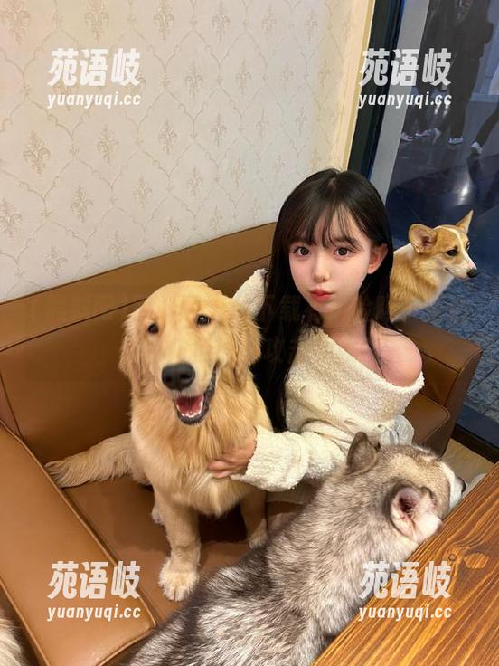 黑料网 黑料网app下载有风险吗?直达网站防范黑客攻击全攻略