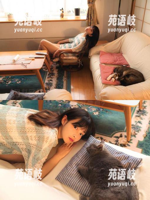 如何在911黑料网官网获取最新的八卦和吃瓜信息？